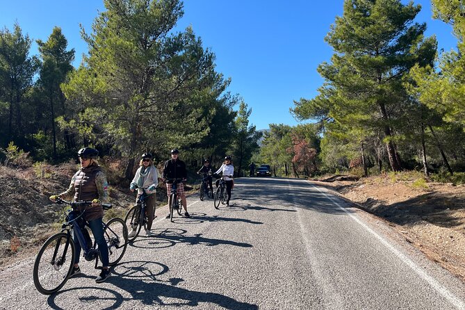 Cycling Through Vineyards & Farm Lunch & Ephesus visit - Pace and Physical Fitness: What Moderate Really Means on an E-Bike
