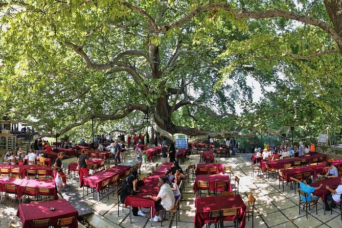 Daily Bursa Uludag Mountain & Cable Car Tour with Lunch from Istanbul - Stop 4: Green Mosque (Mehmed I) and the Full Complex Layout