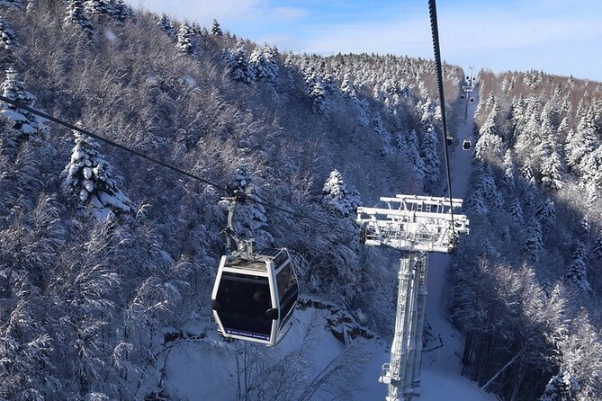 Daily Bursa Uludag Mountain & Cable Car Tour with Lunch from Istanbul - Stop 6: Uludağ National Park Time, Then the Cable Car Down