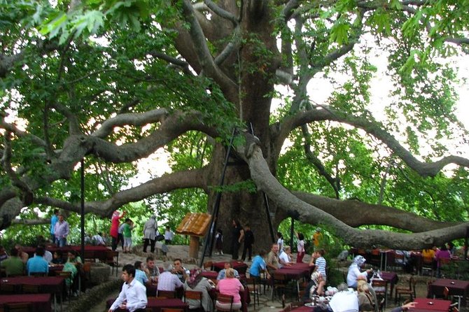 Daily Bursa Uludag Tour - The Green Mosque and Green Tomb stop: classic Bursa in 60 minutes