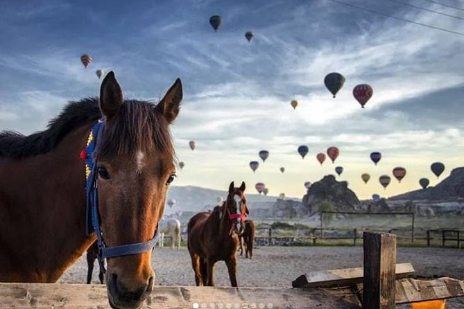 Daily Cappadocia Red and Underground Tour - Why This Red and Underground Day Costs So Little