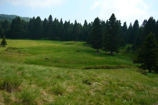 Daily Green Bursa Tour From Istanbul - Uludağ National Park: the free chunk of mountain time