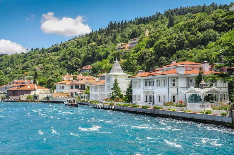 Daily Prince’s Island Tour from Istanbul - Princes’ Islands in One Day: Why This Tour Works