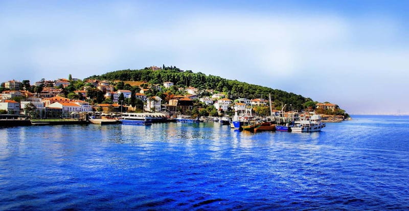 Daily Prince’s Island Tour from Istanbul - Cruising the Sea of Marmara and Watching Istanbul Slide Past