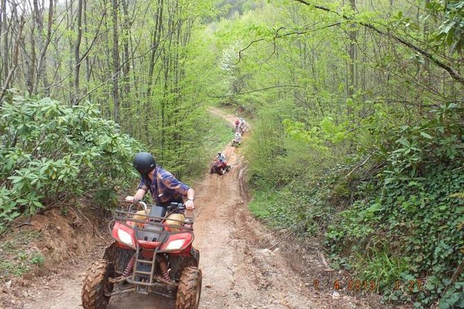 Daily Sapanca Lake + Maşukiye Tour by Private Minivan (Day Trip from Istanbul) - Optional Adventures: How to Choose Without Getting Overcharged