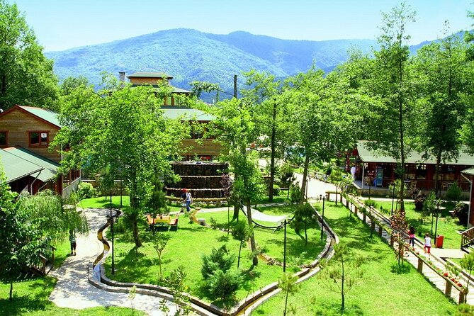 Daily Sapanca & Maşukiye & Mahmudiye Tour with Lunch from Istanbul - The big picture: a 12–13 hour reset from Istanbul
