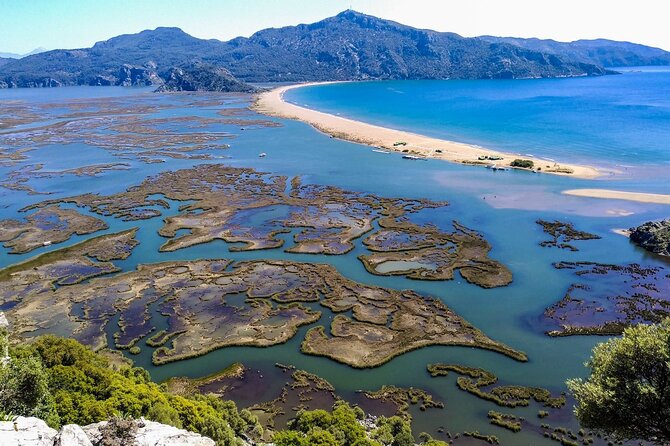 Dalyan Day Trip with Mud Bath and Turtle Beach From Fethiye - Iztuzu Turtle Beach: swimming time plus a small entry fee