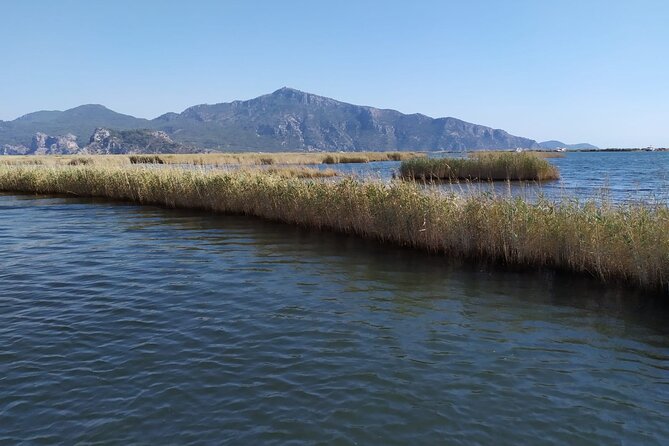 Dalyan Mud Bath and Turtle Beach from Sarigerme - The ride and the lunch stop overlooking Dalyan Tombs