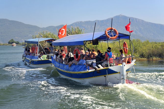 Dalyan Mud Baths and Turtle Beach Day Tour From Fethiye - Iztuzu Turtle Beach: swim time with real protection rules
