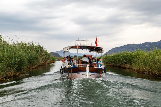 Dalyan Mud Baths and Turtle Beach Day Trip from Bodrum - Who this trip suits best