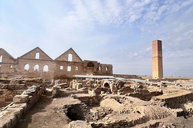 Day Trip to Gobeklitepe – Explore the Zero Point of Humanity - Comfort and service: what the best-run days have in common