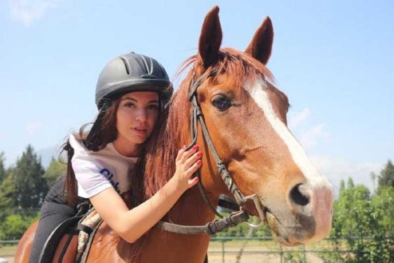 Didim Horse Safari - Pickup from Didim: Where the Driver Meets You (Main Security Gate)