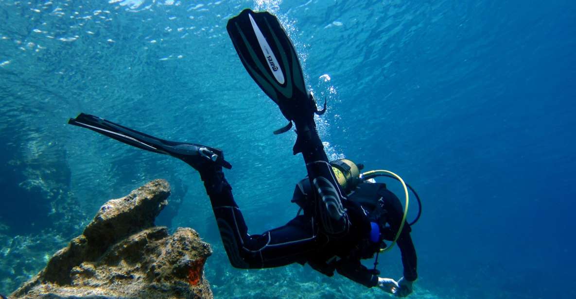 Didim: Scuba Diving Experience w/Hotel Pickup & Lunch - Key highlights worth your attention