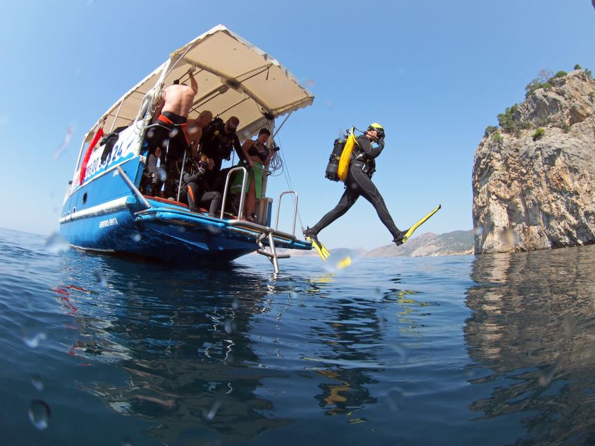Didim: Scuba Diving Experience w/Hotel Pickup & Lunch - The underwater experience: fish-feeding, wildlife hopes, and where the time goes