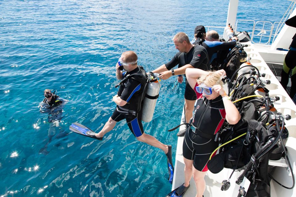 Didim: Scuba Diving Experience w/Hotel Pickup & Lunch - Lunch and drinks: what’s included vs what you should verify