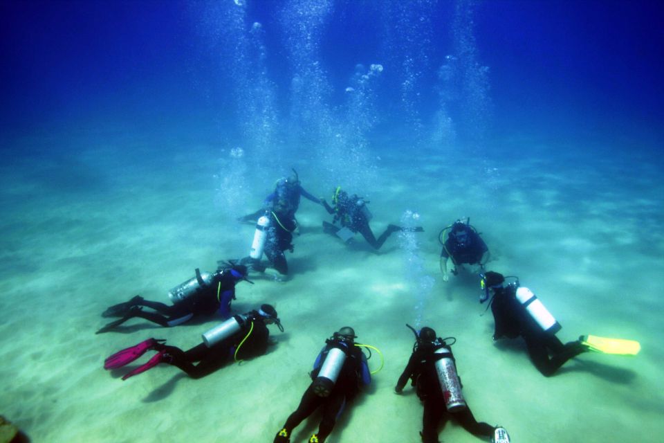 Didim: Scuba Diving Experience w/Hotel Pickup & Lunch - Price and value in Didim: is $83 a fair deal?