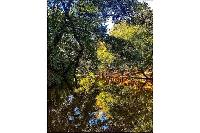 Discover Secret Lakes by Private Hiking Tour (w/Lunch, Transfers) - Bahçeköy Village lunch: real local food, not a tourist shortcut