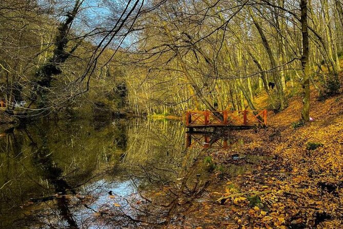 Discover Secret Lakes by Private Hiking Tour (w/Lunch, Transfers) - Price and logistics: what $76.67 includes (and what it doesn’t)