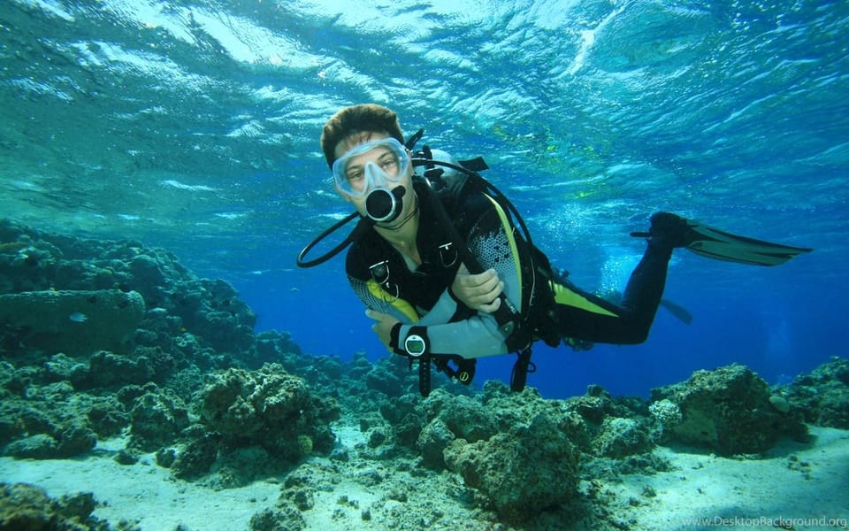 Diving Tour from Alanya & Side with Lunch - 2 Dives Included - Two Underwater Stops at 6 m and 12 m: What You’ll Actually See