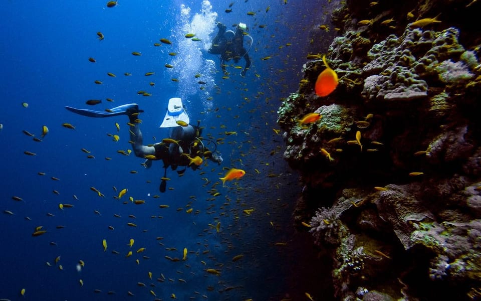 Diving Tour from Alanya & Side with Lunch - 2 Dives Included - Who Should Skip This Trip (Important Health and Mobility Limits)
