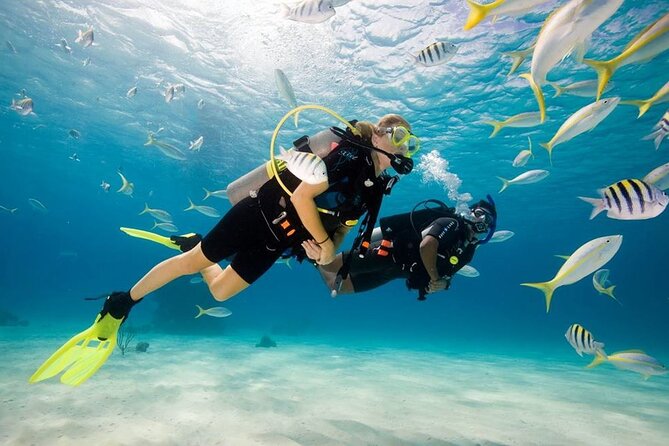 Diving Tour from Antalya or Kemer with Lunch - Key highlights worth your time