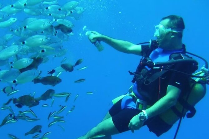 Diving Tour from Antalya or Kemer with Lunch - Price and logistics: does $49 feel fair for what you get?