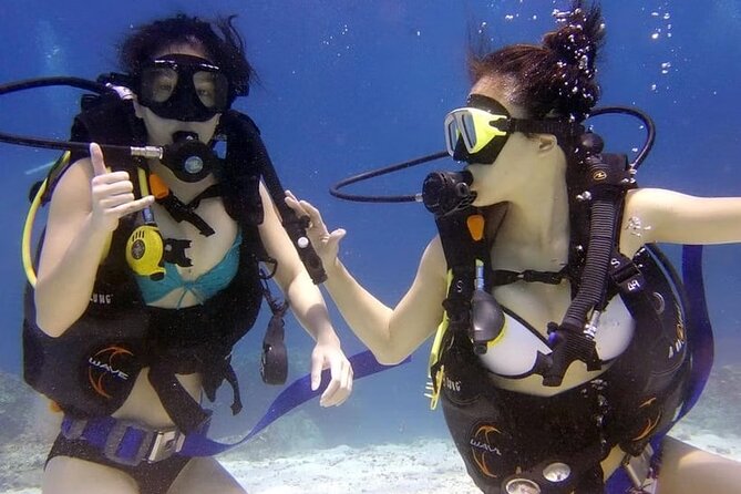 Diving Tour from Antalya or Kemer with Lunch - English guidance and beginner comfort: what actually makes this easier