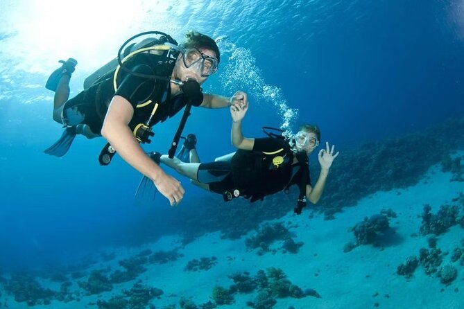 Diving Tour from Antalya or Kemer with Lunch - Who this tour is perfect for (and who should skip it)