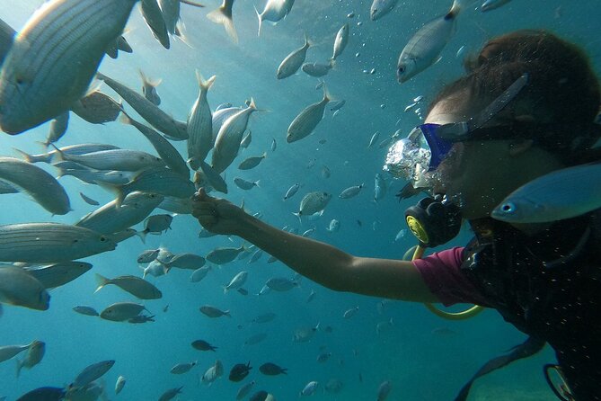 Diving with optional Pick Up - Drop Off from Antalya - Morning boat ride from Marina Kemer: views and setup time