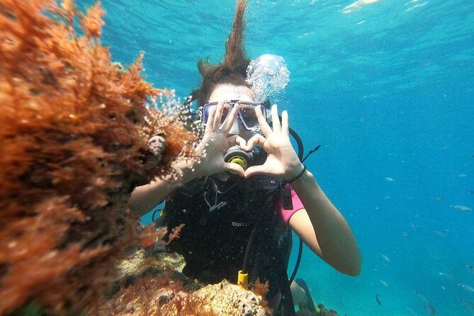 Diving with optional Pick Up - Drop Off from Antalya - What you’ll see: canyons, marine life, and the kind of underwater exploring this day supports