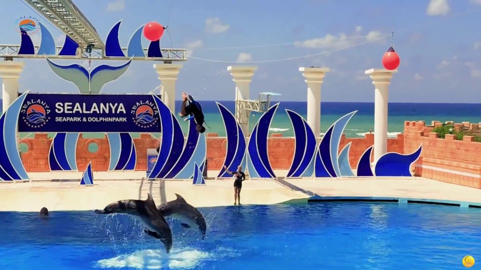 Dolphin Show Free Transfer From Alanya, Side, Kemer,Antalya - Key things to know before you go