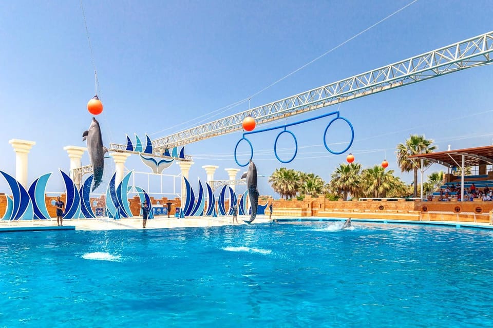 Dolphin Show Free Transfer From Alanya, Side, Kemer,Antalya - How long it really takes: the 3-hour window plus real-world waiting