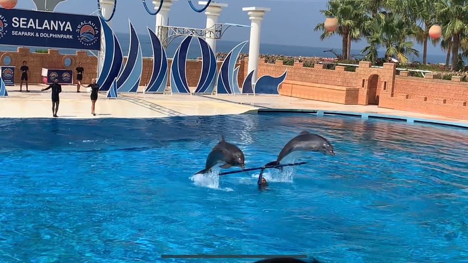 Dolphin Show Free Transfer From Alanya, Side, Kemer,Antalya - Value for money: is $64 a fair deal for this 3-hour show?