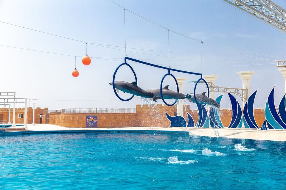 Dolphin Show Free Transfer From Alanya, Side, Kemer,Antalya - Animal welfare and enclosure concerns: what you should consider