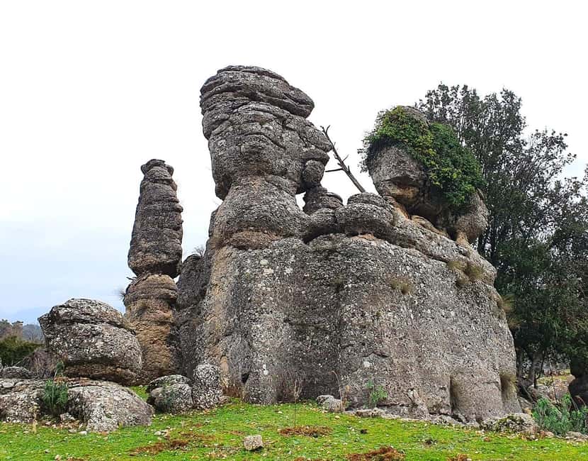 Eagle - Tazı Canyon - Selge Ancient City & Man Rocks Tour - Man Rocks (Avatar Land): the forest photo stop that feels surreal