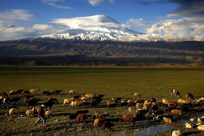Eastern Turkey 12-Day Sightseeing Tour from Trabzon - Day 3–4: Kars and Ani’s churches, then Ararat-country at Ishak Pasha Palace