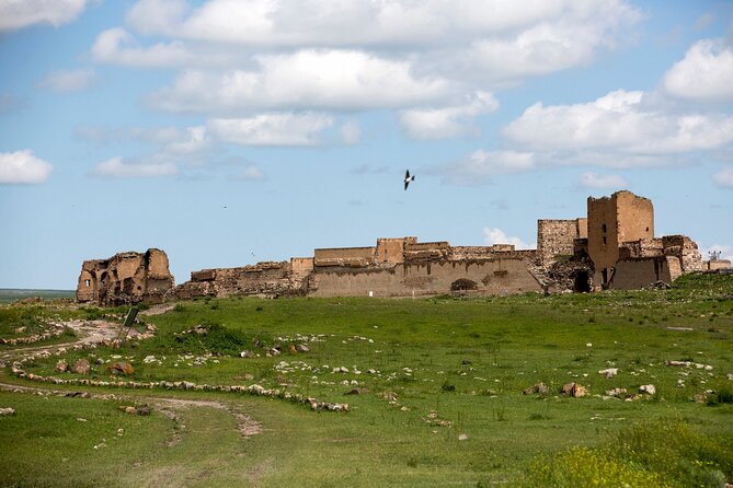 Eastern Turkey 12-Day Sightseeing Tour from Trabzon - Day 5–6: Akdamar on the lake, then Hosap and Van’s Urartian forts