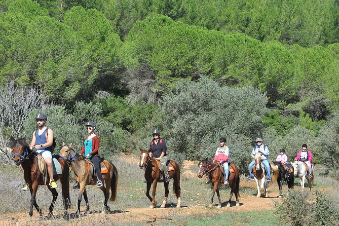 Ephesus Full Day Tour & Horse Safari + Lunch - Opt Turkish Bath - Timing and logistics: how to make the day feel easy