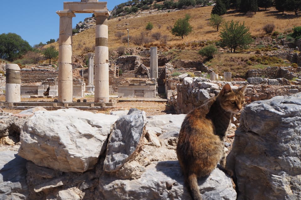 Ephesus: Half-Day Tour from Kusadasi - Price and value: is $135 reasonable for what you get?