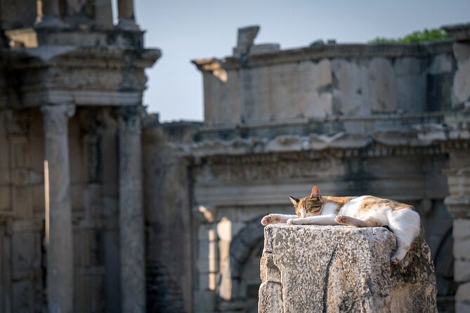 Ephesus: Private Tour with Skip-The-Line & Less Walking - Artemis Temple: The Seven Wonders Angle, Without the Big Time Sink