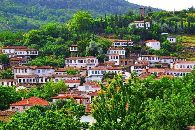 Ephesus Tour from Kusadasi Port - NO SHOPPING STOPS, Guaranteed - The UNESCO Ephesus core: where the walk actually feels worth it