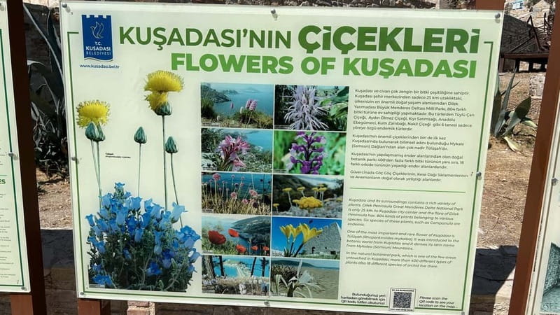 Ephesus tours wholesalerShopTours from cruise port Kusadasi - Adasaray Hamam Break: When You Need a Real Pause