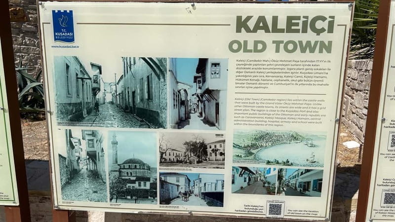 Ephesus tours wholesalerShopTours from cruise port Kusadasi - Ephesus With a Private Licensed Guide: Terrace Houses and the House of Mary