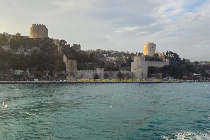 Experience Istanbul: Scenic Bosphorus Cruise with Delicious Lunch - Where you meet at Eminönü and what to expect on the boat