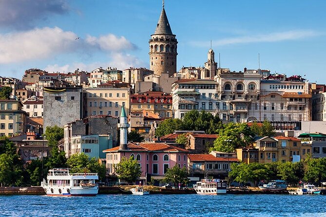 Experience Istanbul: Scenic Bosphorus Cruise with Delicious Lunch - Istanbul Painting Museum and Dolmabahçe stretch: culture from the shoreline