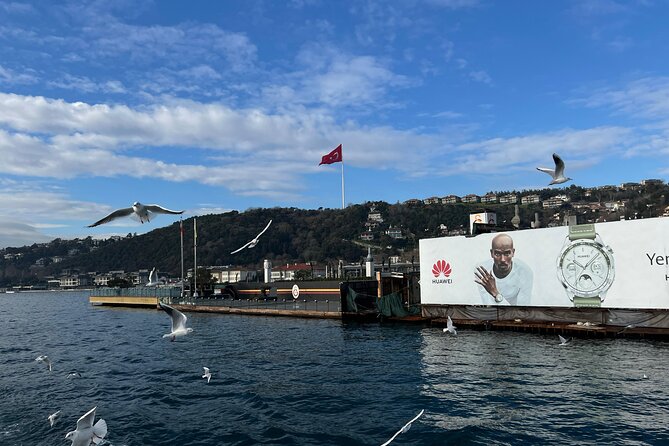 Experience Istanbul: Scenic Bosphorus Cruise with Delicious Lunch - Galata Bridge and Galata Tower views: the fast city opener