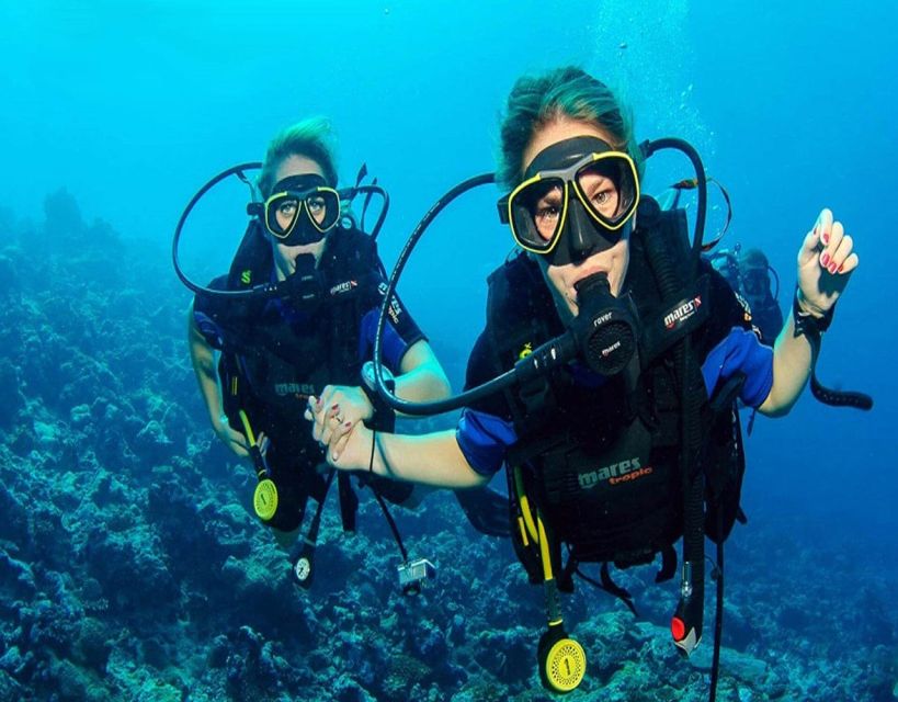 Fethiye: 2 Guided Scuba Dives with Lunch and Hotel Transfers - Underwater Session #1 (Before Lunch): Wildlife, But With a Tight Plan