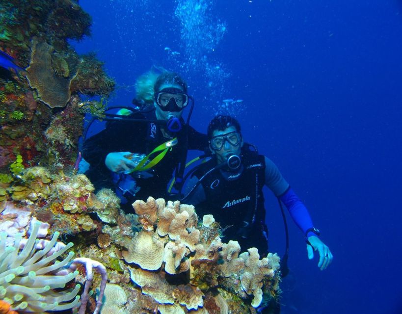 Fethiye: 2 Guided Scuba Dives with Lunch and Hotel Transfers - Lunch Break: Why This Midday Reset Matters