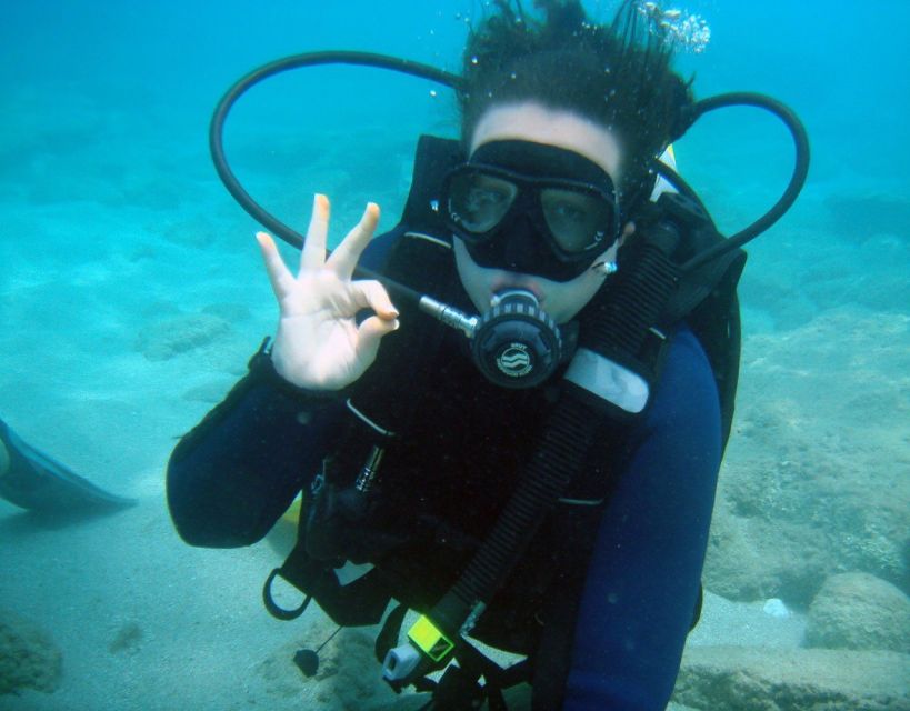 Fethiye: 2 Guided Scuba Dives with Lunch and Hotel Transfers - Underwater Session #2 (After Lunch): More Chances to Spot Marine Life