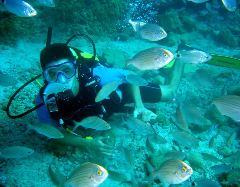 Fethiye: 2 Guided Scuba Dives with Lunch and Hotel Transfers - Who This Tour Suits Best in Fethiye
